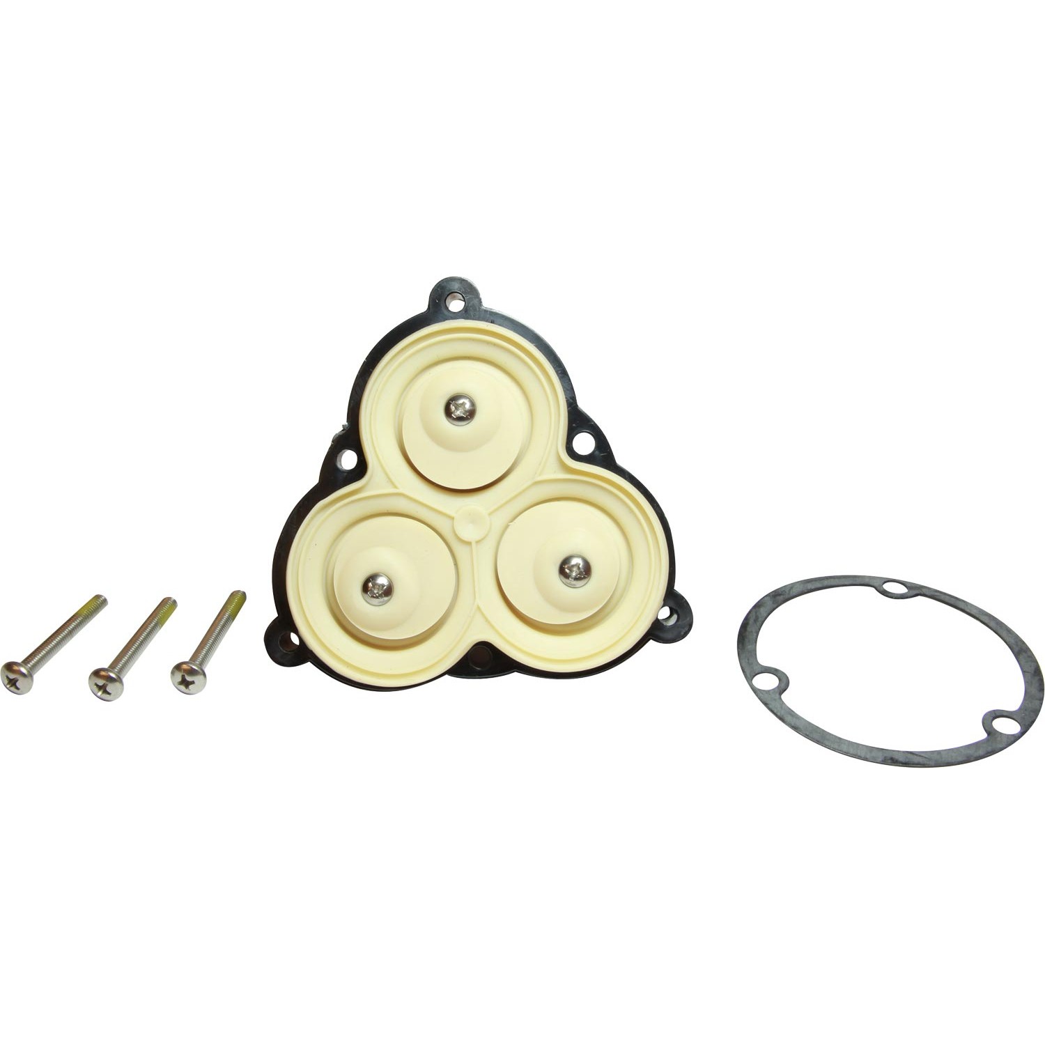 Shurflo diaphragm/drive assembly for 2900 &amp; 3900 series