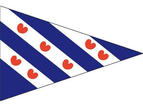 Puntvlag Friesland