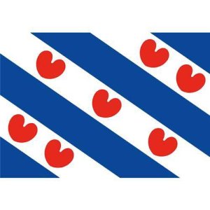 Friese vlag - Friese vlag 1 - HO1111030